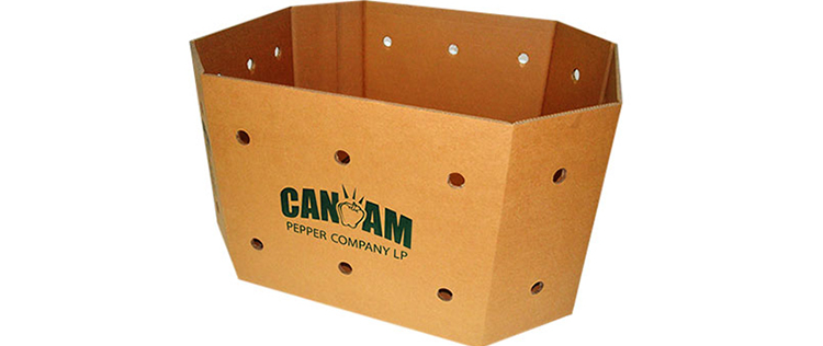 Corrugated Packaging 21