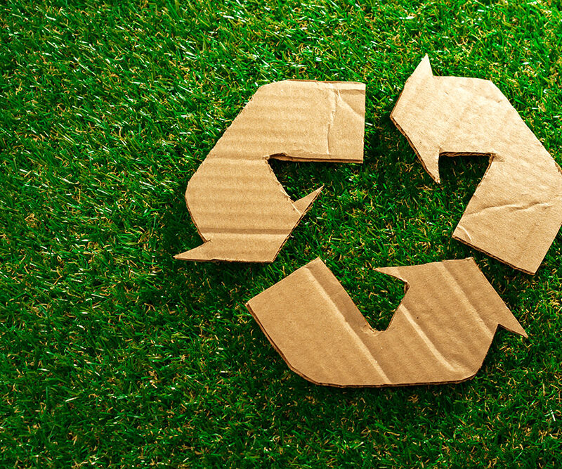 Top Performing Strategies to Make Your Packaging More Sustainable