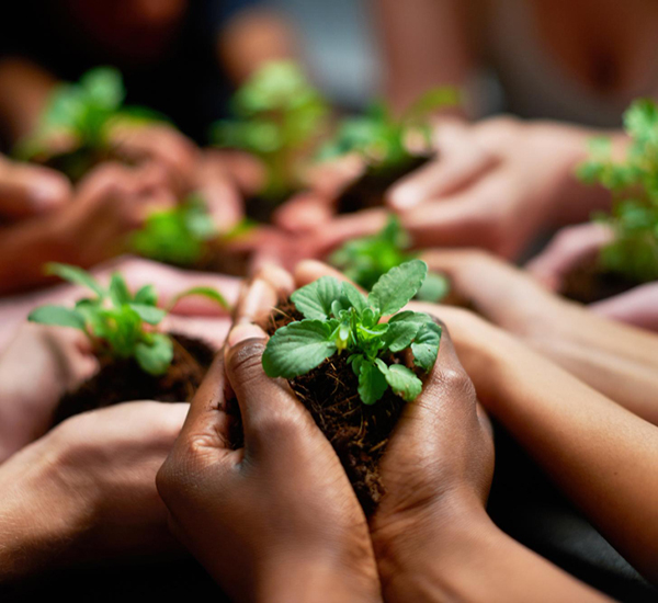 conserving our future shot group people each holding plant growing soil