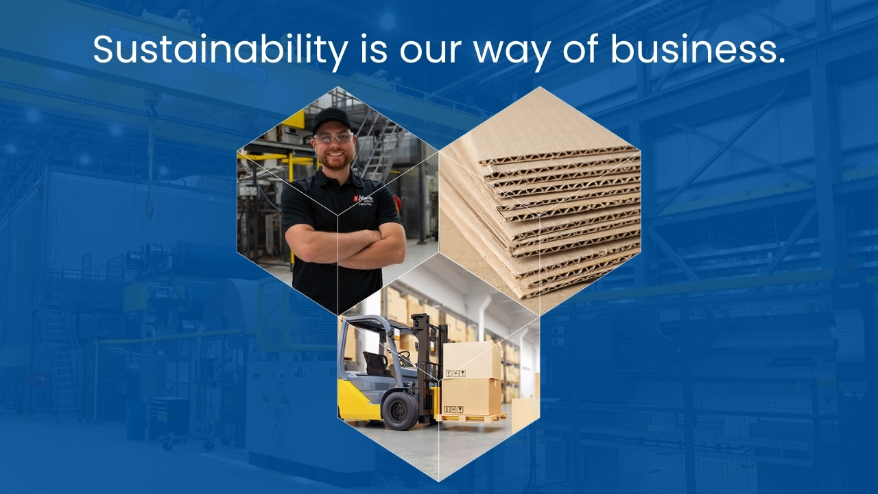 Rooted in Sustainability video cover